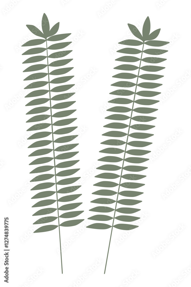Nature green tropical palm leaf on white background. Vector illustration. Nature green tropical palm leaf on white background. Vector illustration.
