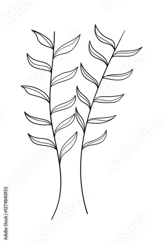 Tree branch with leaves isolated on white background.