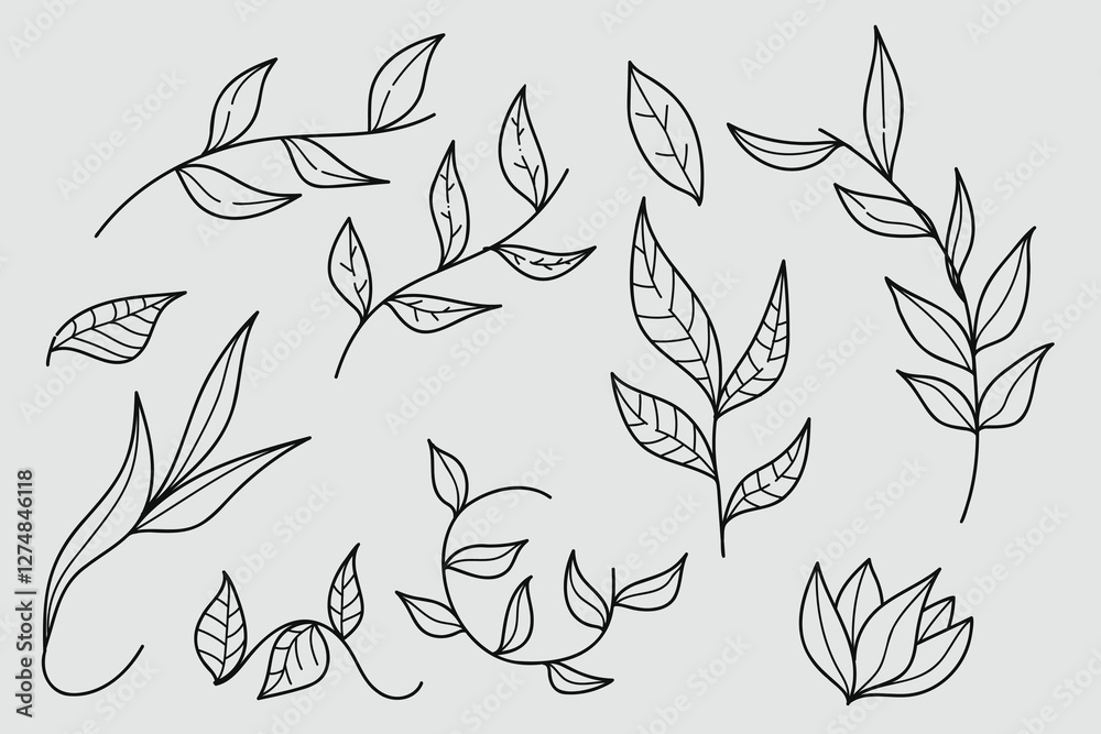 Fototapeta premium Floral line art hand drawn elements collection. Greenery for decoration, wild and garden plants, branches, leaves. Vector illustration