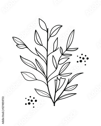 Twigs with Leaves in a Botanical hand drawn.Vector illustration