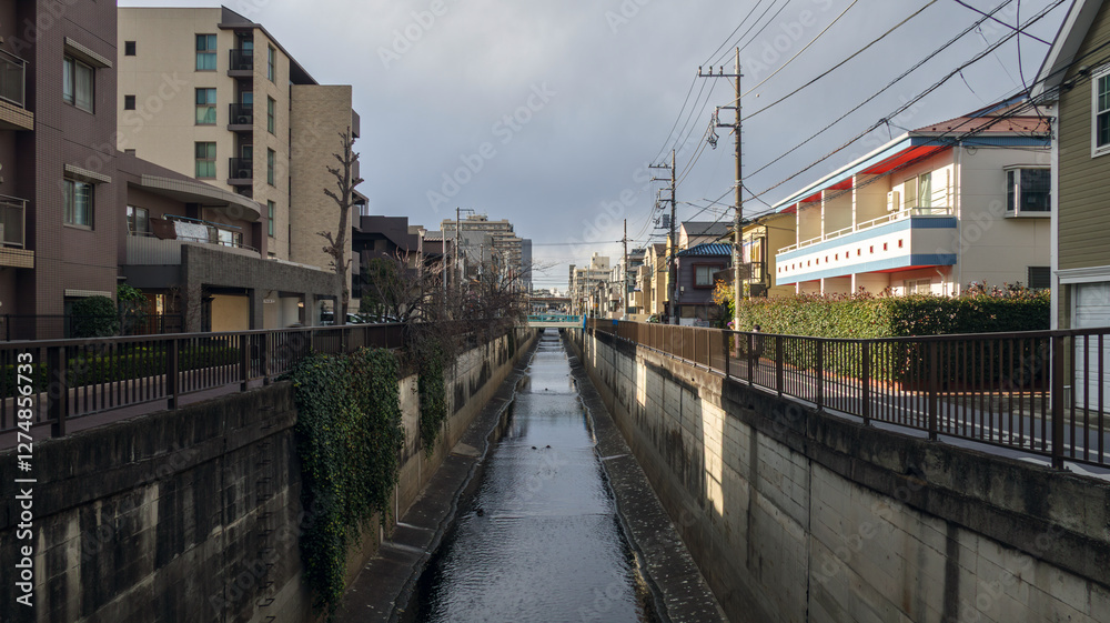 Naklejka premium 都会の河川