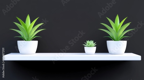 Wallpaper Mural Modern Minimalist Plants on White Shelf Dark Background Torontodigital.ca