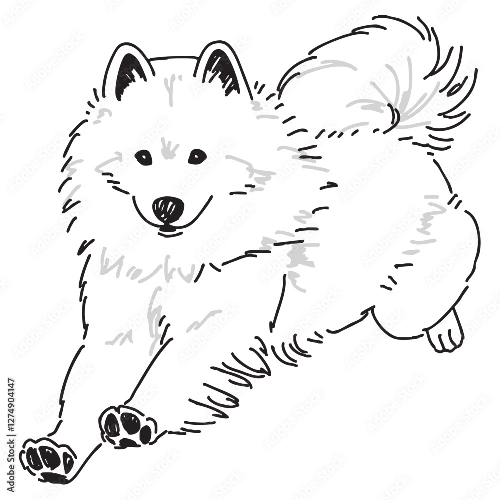 Fototapeta premium サモエドの手書きイラスト