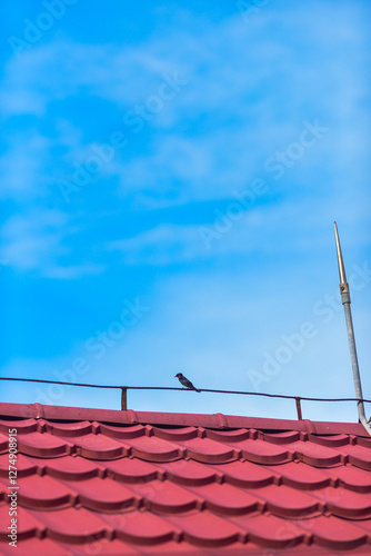 red roof and blue sky