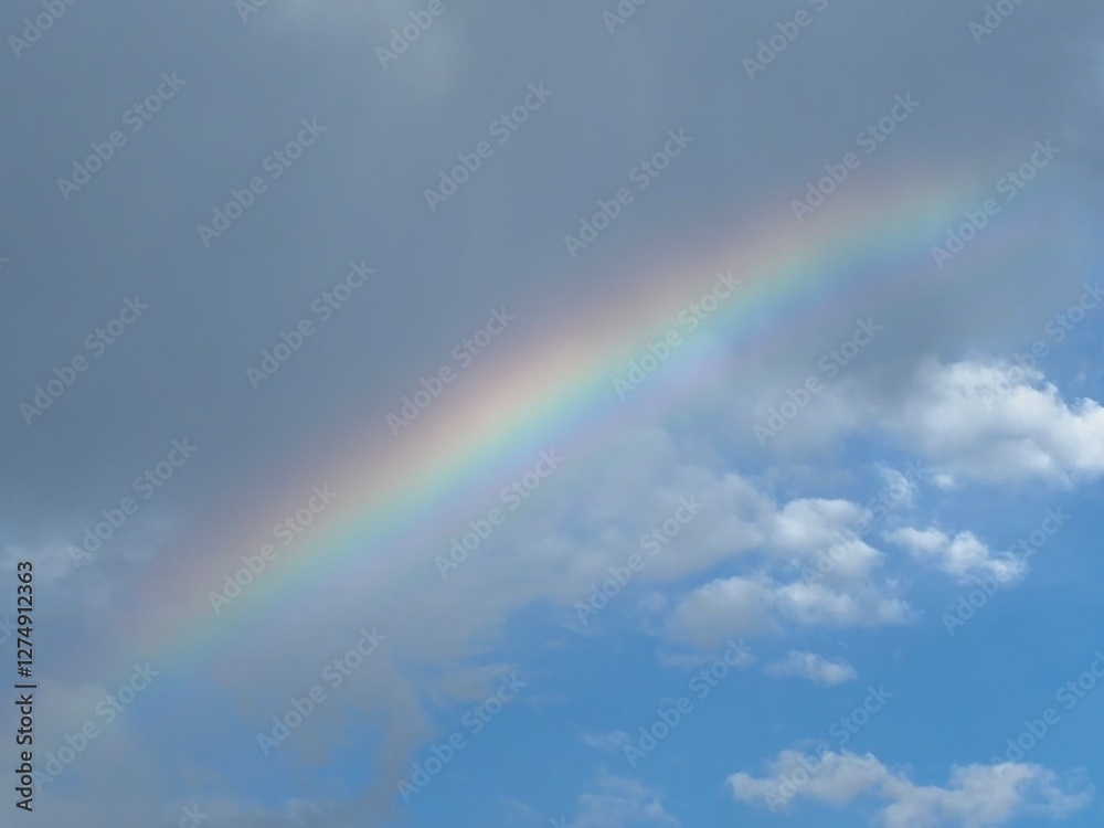 rainbow in the sky rainbow in the sky