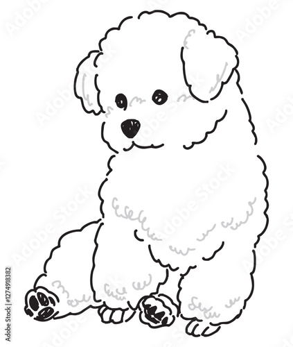 ビションフリーゼの手書きイラスト