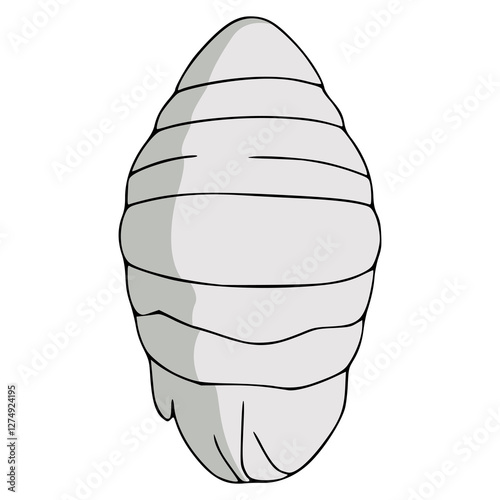 white cocoon insect larva cycle flat color vector illustration template design