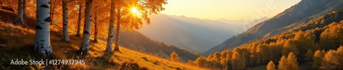 Soft golden light filters through aspen trees, nature, mountains, peaceful