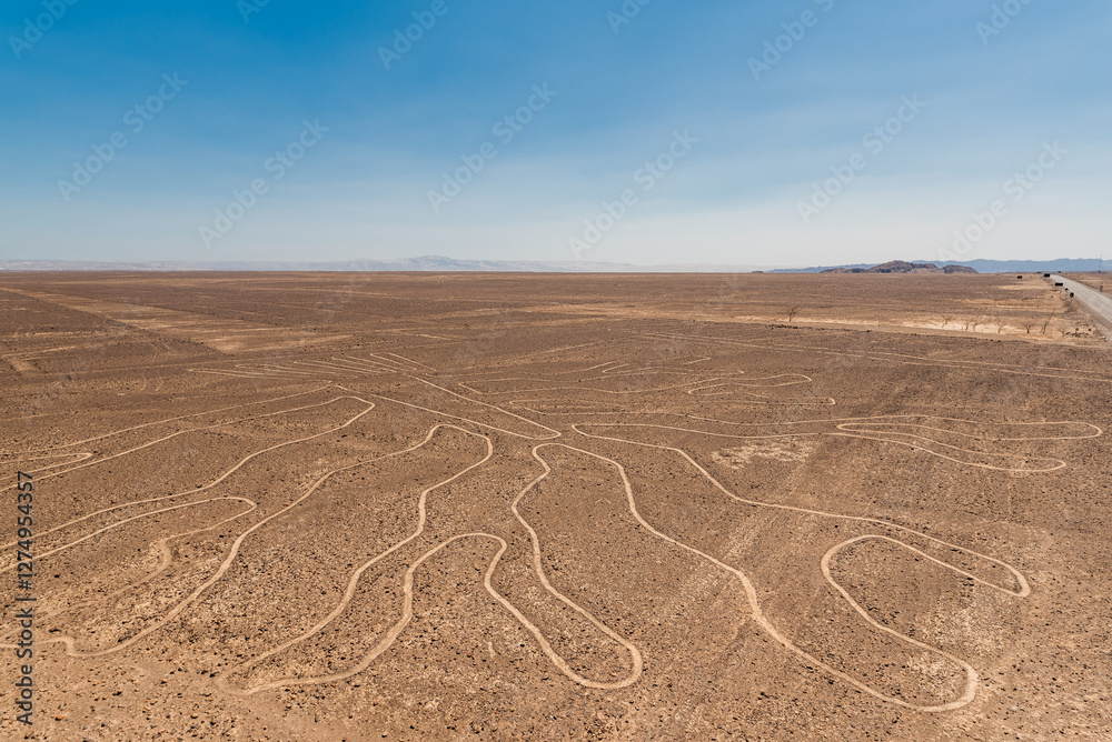 Naklejka premium image of the hummingbird nazca line in peru