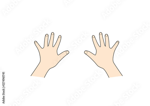 hand_148_colour