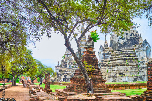 Ruins of ancient Wat Phra Si Sanphet complex, Ayutthaya, Thailand