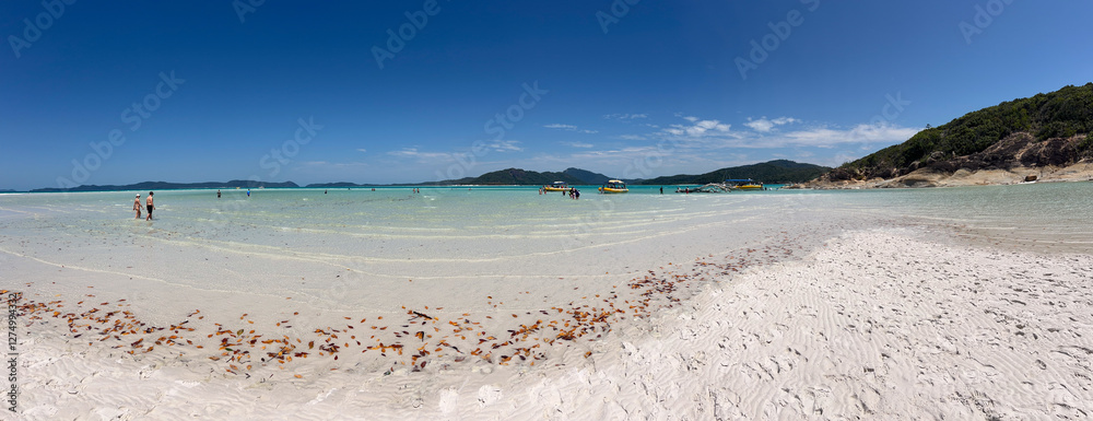 Tourists visit on Whitehaven Beach at Whitsunday Islands National Park Queensland Australia