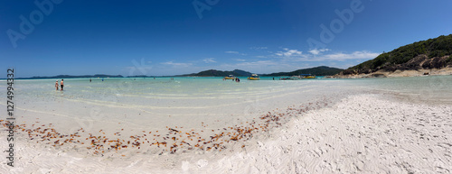 Obraz na płótnie Tourists visit on Whitehaven Beach at Whitsunday Islands National Park Queensland Australia w salonie
