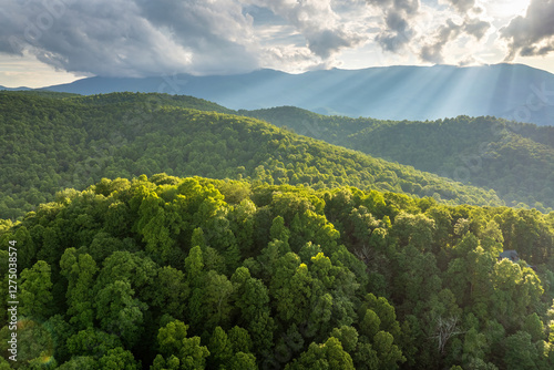Evening landscape in Appalachian mountains. Mt Mitchell in North Carolina Blue Ridge Mountains. Woods nature in summer season photo