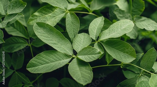 Wallpaper Mural Lush Green Foliage  Natural Leaf Texture  Vibrant Greenery Background Torontodigital.ca