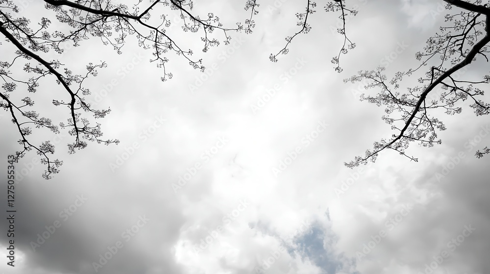 Obraz premium Tree with white flowers against a blue sky in a natural outdoor setting