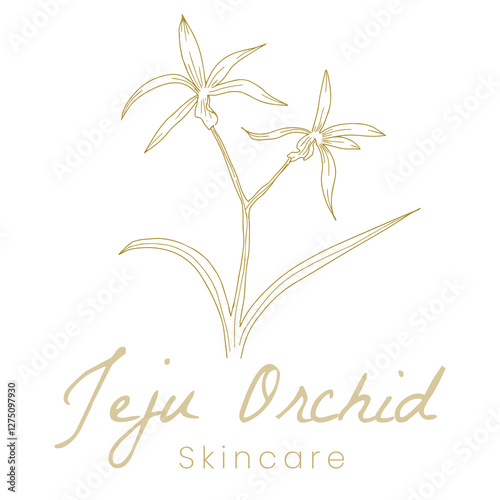 Korean Jeju Orchid Skincare Logo Hand Drawn Botanical Design for Natural Beauty Branding