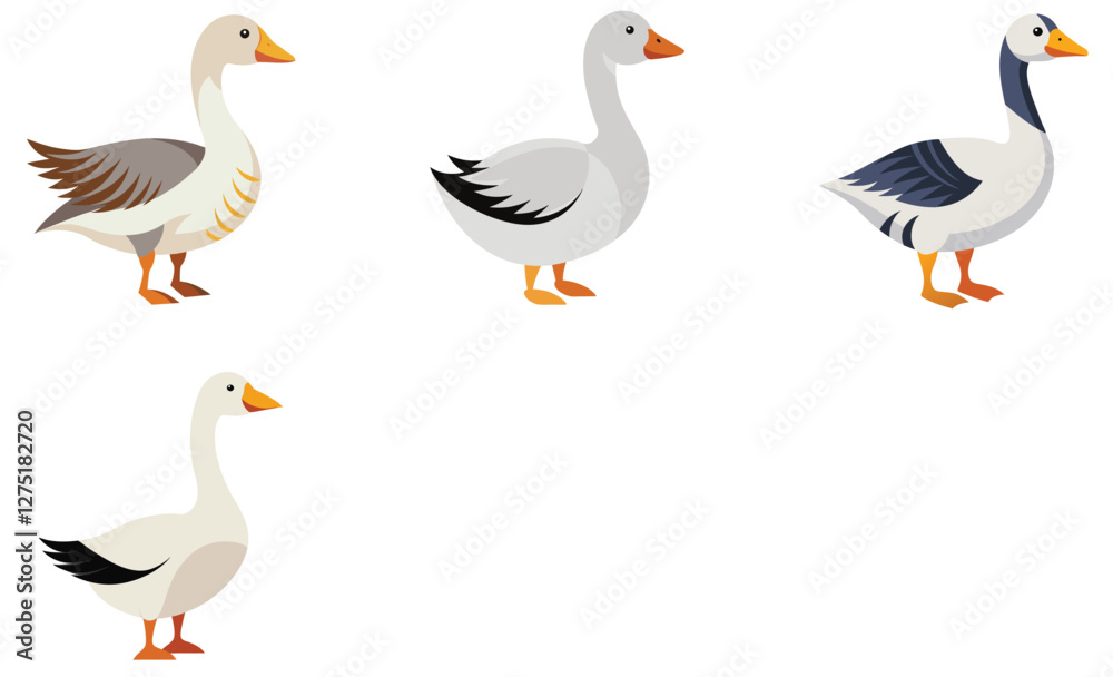 Obraz premium Emden goose various design vector art set on white background
