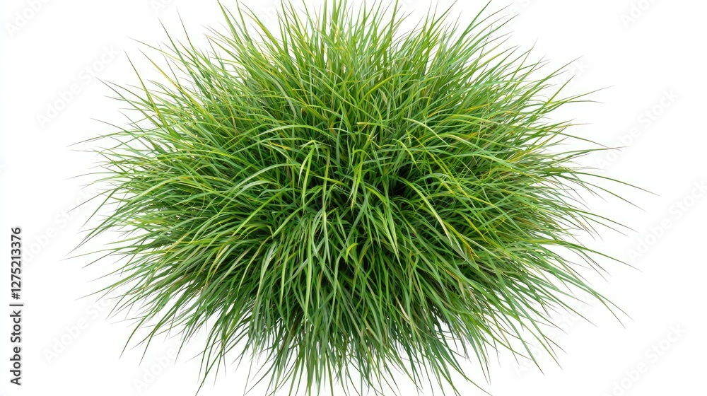 Lush Green Grass Bunch with Vibrant Texture and Natural Appeal Lush Green Grass Bunch with Vibrant Texture and Natural Appeal