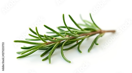 rosemary on white background