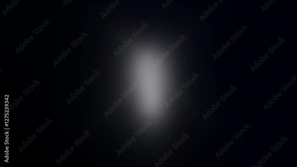 Photographer camera flashes animation on black screen. Random bright blinking lights effect. Paparazzi Camera burst Flashes motion lights animated, Photographer bright Flashing lens flares. Photographer camera flashes animation on black screen. Random bright blinking lights effect. Paparazzi Camera burst Flashes motion lights animated, Photographer bright Flashing lens flares.