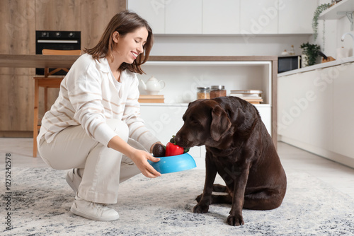 Young woman giving Labrador...