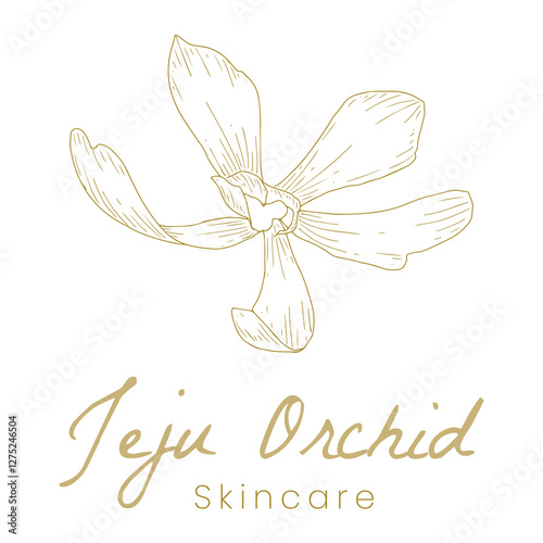 Korean Jeju Orchid Skincare Logo Hand Drawn Botanical Design for Natural Beauty Branding