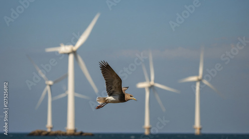 Coastal bird in mid-flight, wings outstretched, sharp feather details. Blurred wind turbines in the background. Perfect for urban wildlife photography.