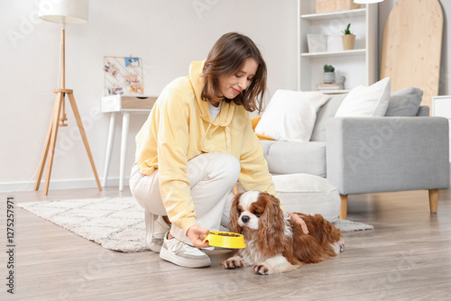 Fotografía Young woman feeding her cavalier King Charles spaniel with dry food at home
