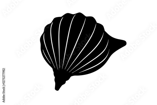 Seashell silhouette on white background