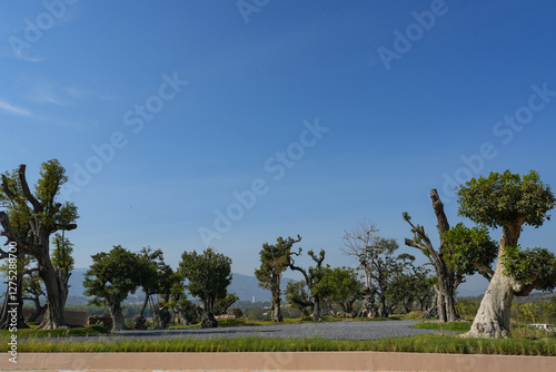 A garden with trimmed trees, green lawn, and trimmed bushes in a background of trees with autumn trees on a foot of a blur mountain from afar under a blue sky
