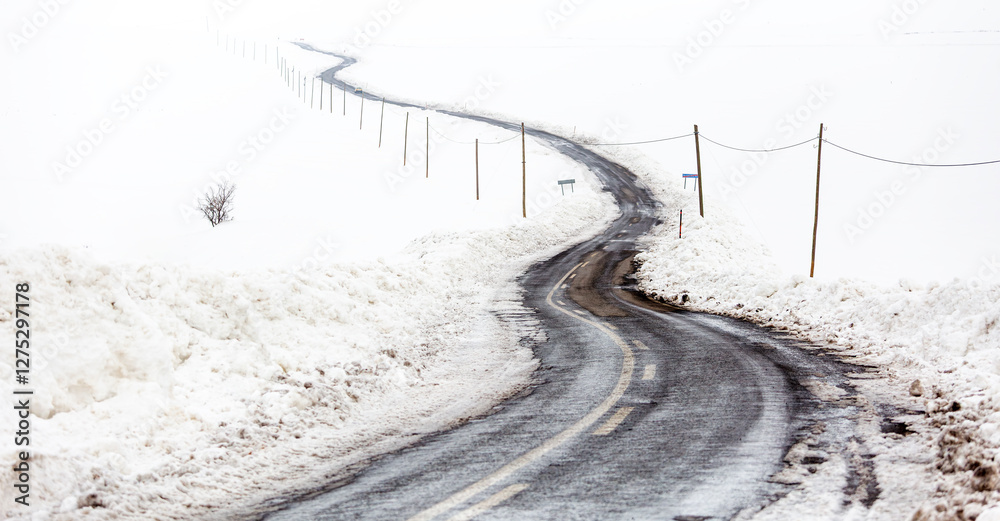 A road and electrical wires covered in snow