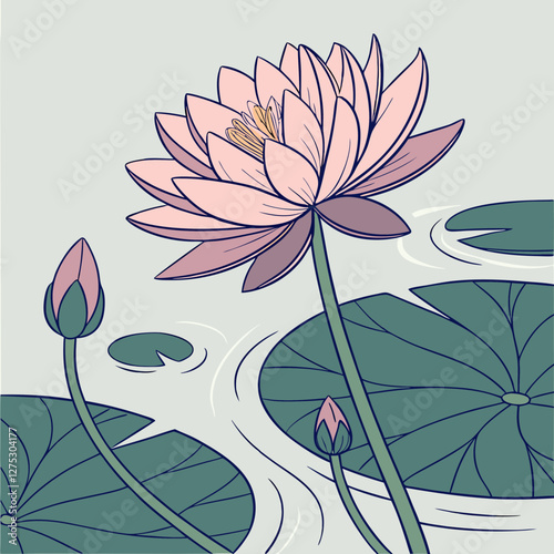 water lilies in the pond