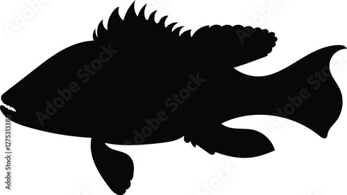 Silhouette seabass, barramundi fish isolated on white background, vector illustration 