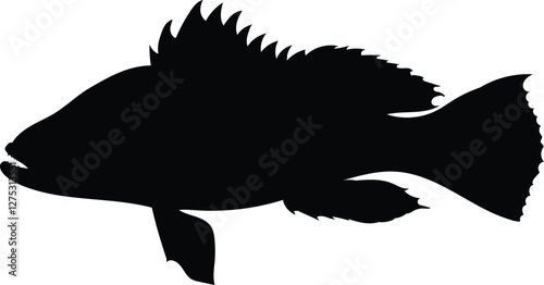 Silhouette seabass, barramundi fish isolated on white background, vector illustration 