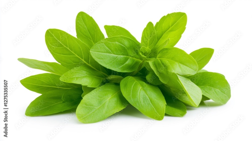 Fresh Basil Leaves Isolated on White Background. Generative AI Fresh Basil Leaves Isolated on White Background. Generative AI