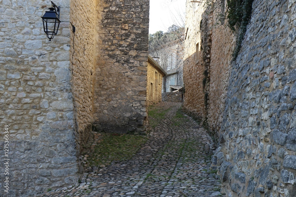 Rue pavée typique, village de La-Roque-sur-Cèze, département du Gard, France
