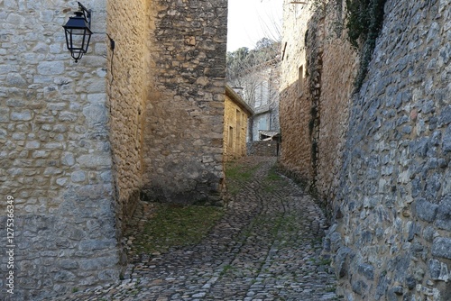 Obraz na płótnie Rue pavée typique, village de La-Roque-sur-Cèze, département du Gard, France w salonie