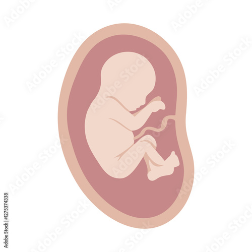 baby in mother's belly and newborn 