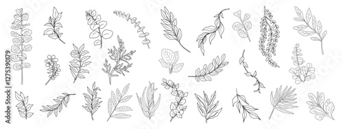 Wallpaper Mural Line art eucalyptus branches and leaves set. Outline vintage botanical vector drawing on transparent background. Trendy greenery elements for logo, tattoo, packaging, wedding invitations, stickers. Torontodigital.ca
