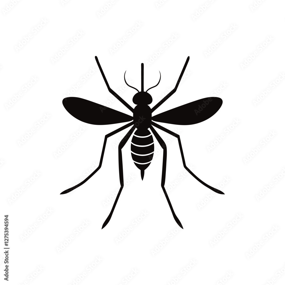 mosquito vector illustration mosquito vector illustration