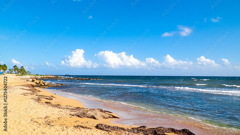 Tropical view of palms, beach and Mediterranean sea near Paphos City, Cyprus island. Tropical view of palms, beach and Mediterranean sea near Paphos City, Cyprus island.