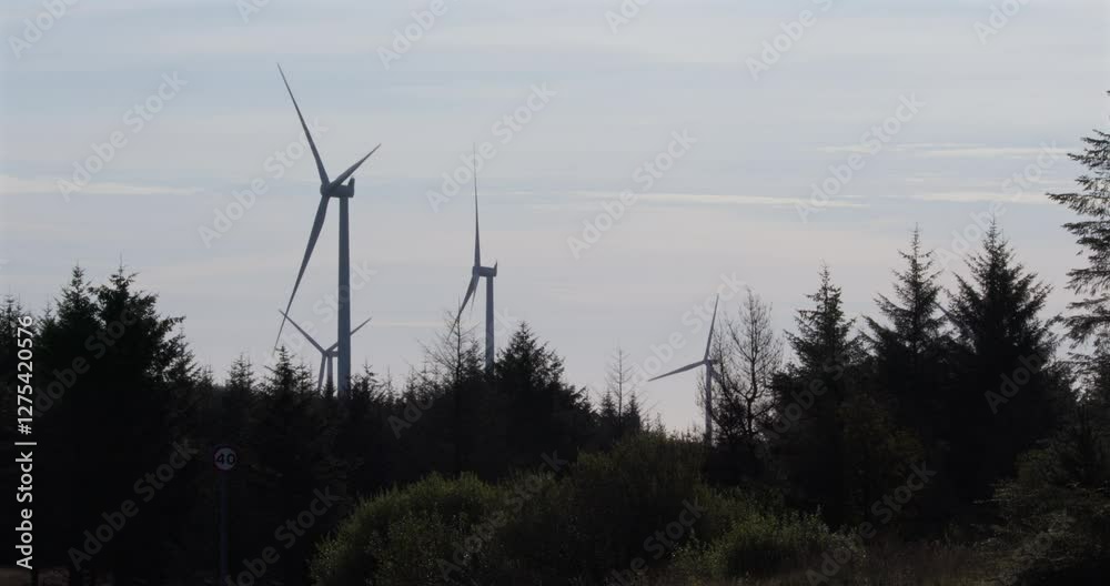 Extra wide shot of a multiple wind turbine turning in silhouette with blue sky and trees in foreground Extra wide shot of a multiple wind turbine turning in silhouette with blue sky and trees in foreground