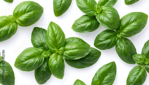 Wallpaper Mural Fresh Basil Leaves Pattern Torontodigital.ca
