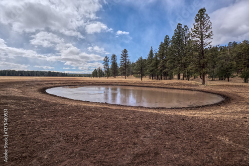 Cattle Pond in the Coconino National Forest AZ photo