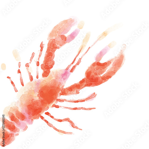 shrimp on white background