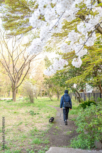 桜, 桜フォト, 桜写真, 桜のある暮らし, 桜と犬, 桜とペット, 桜とわんこ, 桜ロケーション撮影