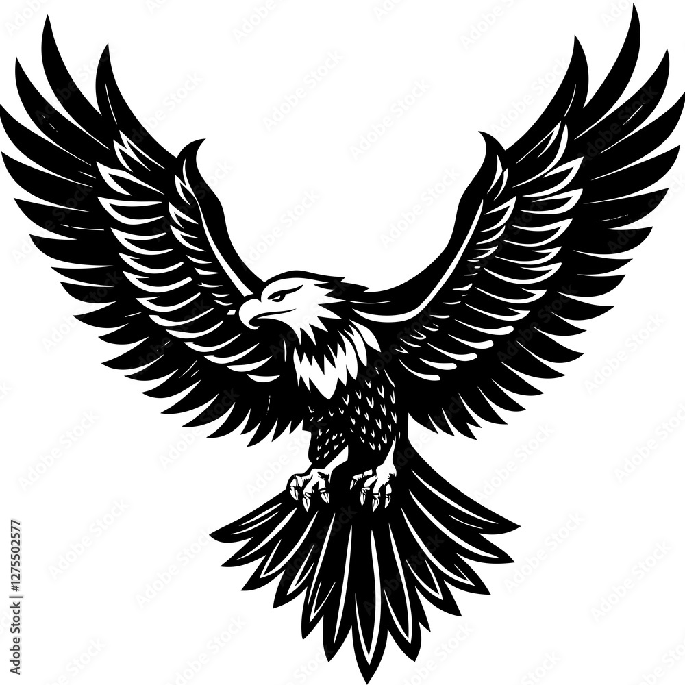 Obraz premium eagle with wings