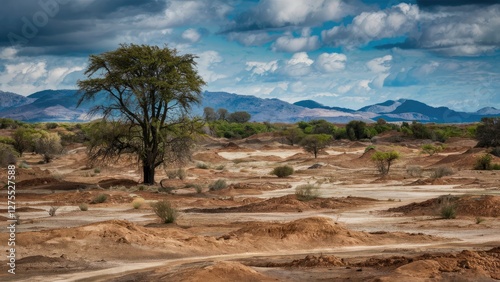 Arid landscape showcasing dry earth and barren terrain under a dramatic sky with scattered clouds, featuring a solitary tree against distant mountains. photo