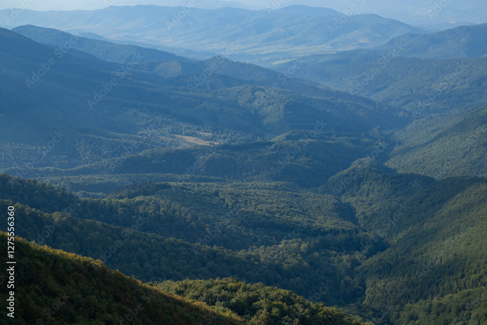 Fototapeta premium Carpathian Mountains and tree background. Mountains landscape. Alpine meadows and beautiful mountains. Forest background. Mountain landscape background. Touristic View of mountain. Nature background.